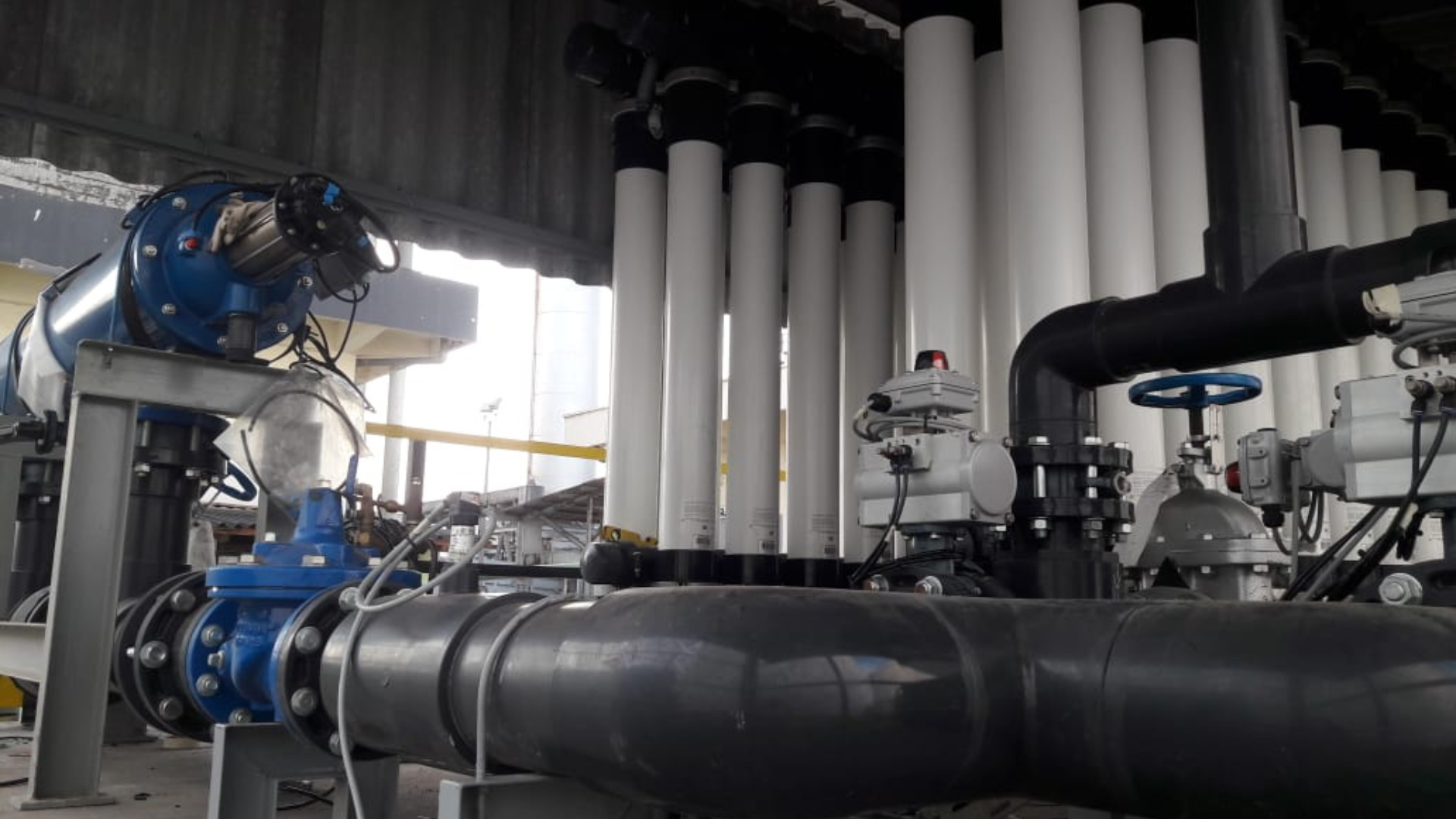 Demipuma Sahabat Bening