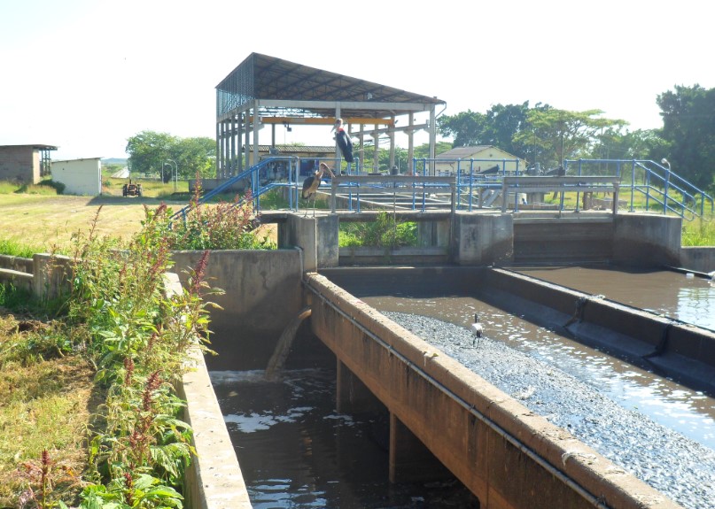 Demipuma Sahabat Bening	